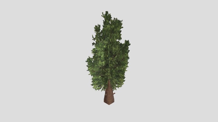 low poly forest tree 3D Model