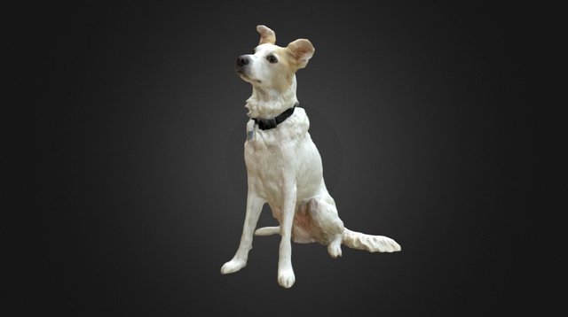 Buddy 3D Model