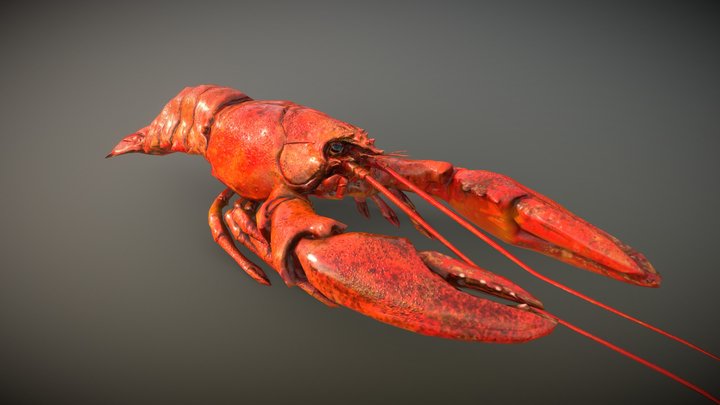 Lobster 3D Model