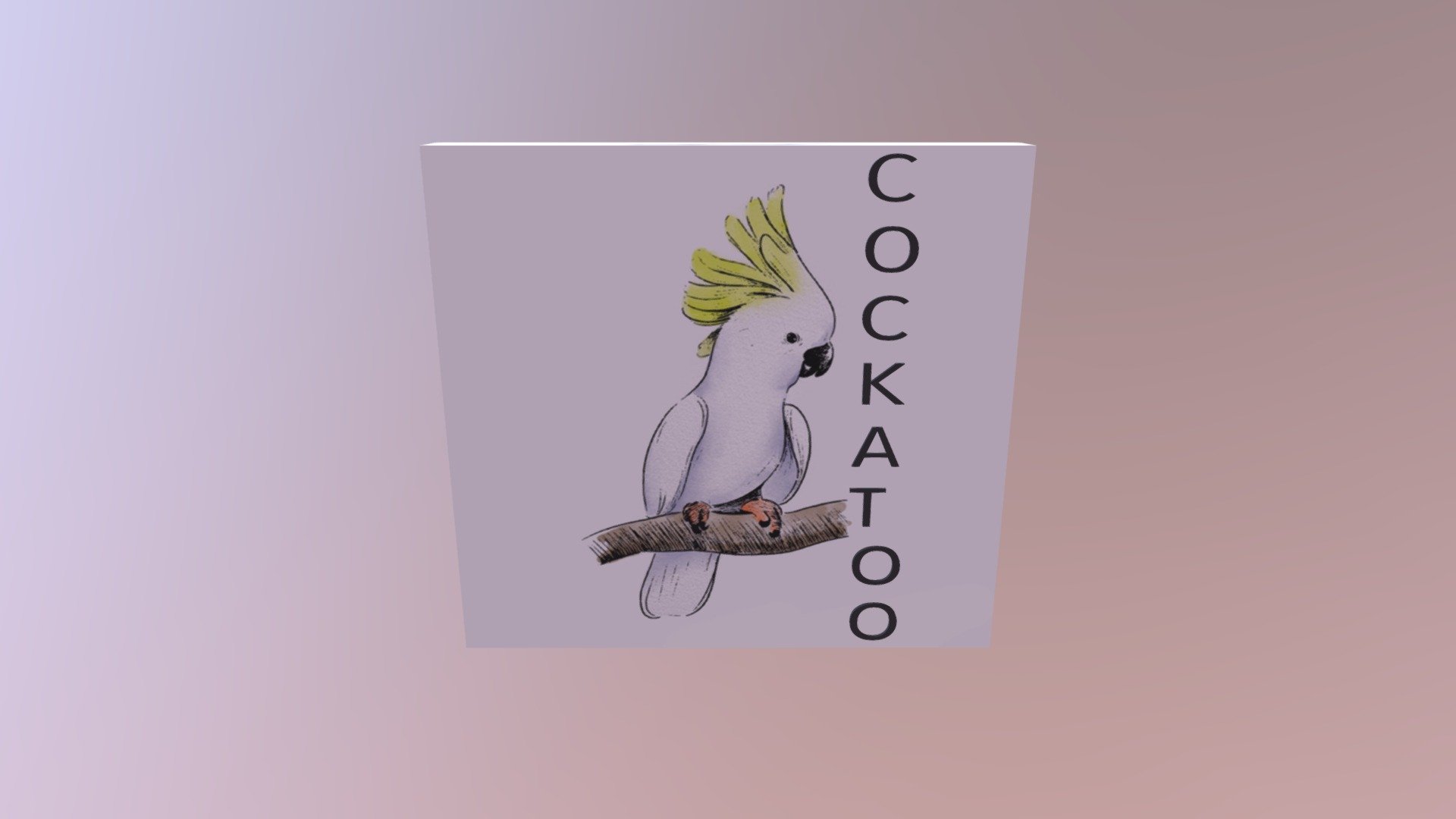 COCKATOO WHITE