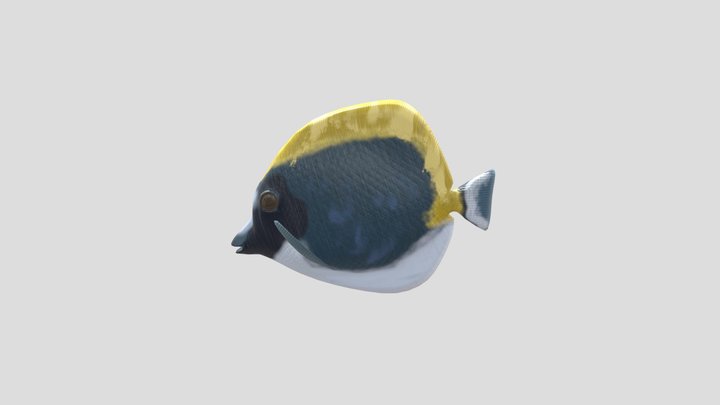 PhillipsFish 3D Model