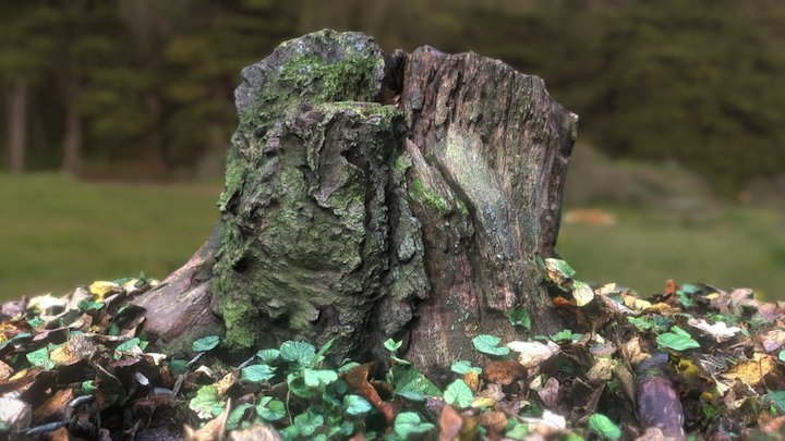 Stump in the park – Modèle 3D gratuit STL