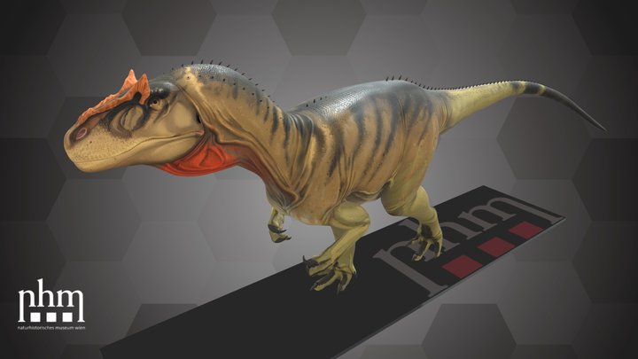 Allosaurus 3D models - Sketchfab