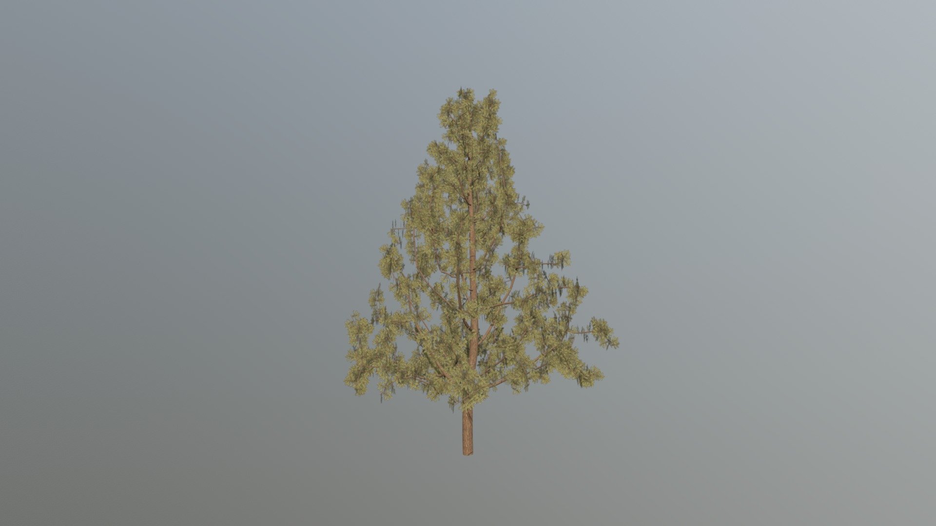 Fir from Space Colonization
