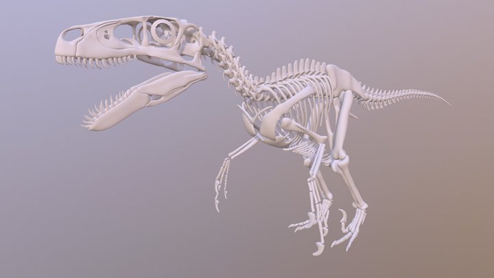 Utahraptor Skeleton 3D Model