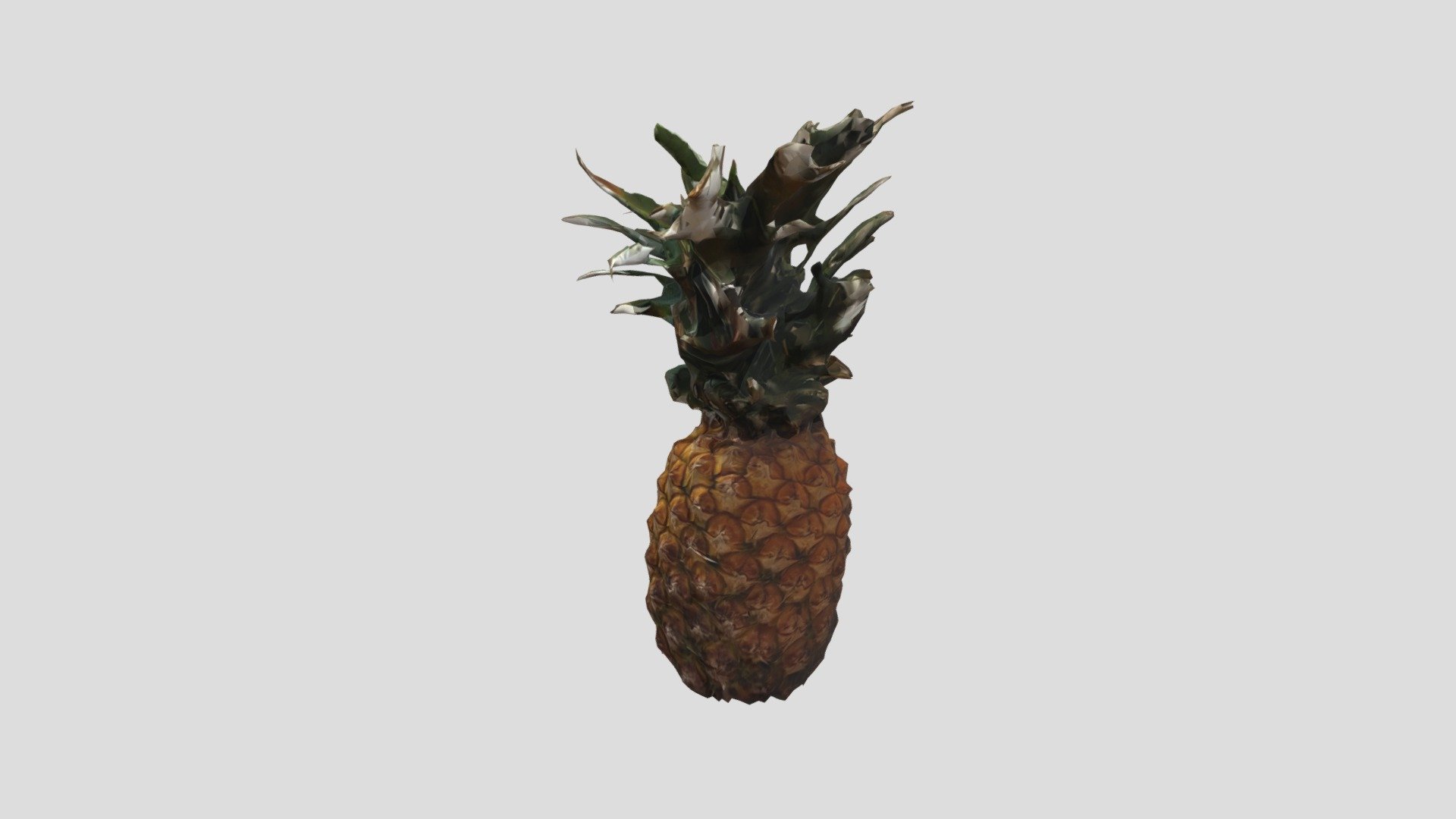 Rough Pineapple