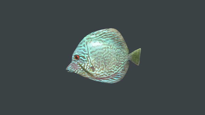 Fish Demo 2 (11/23) 3D Model