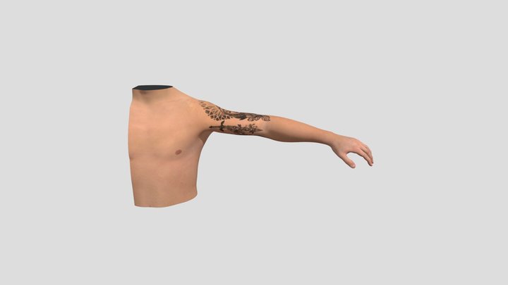arm_half 3D Model