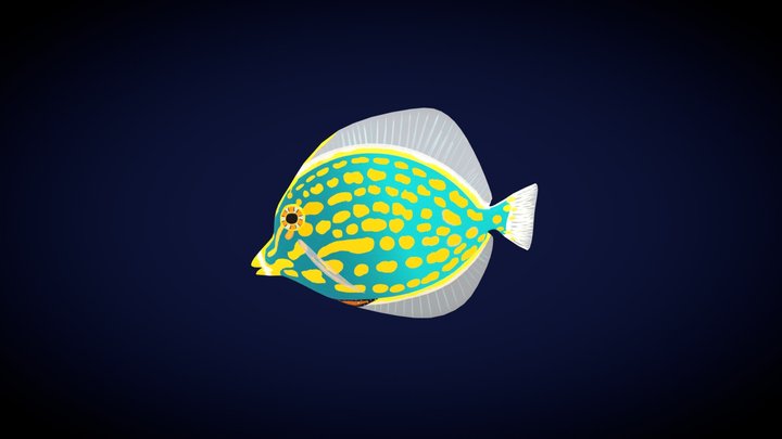 Fish 3D Model