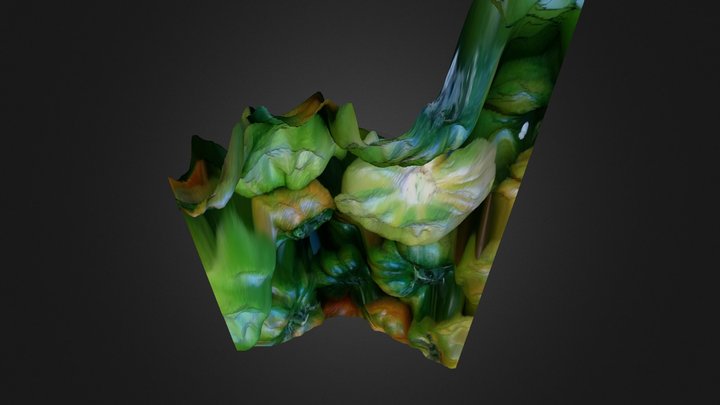 Lens Blur model 3D Model