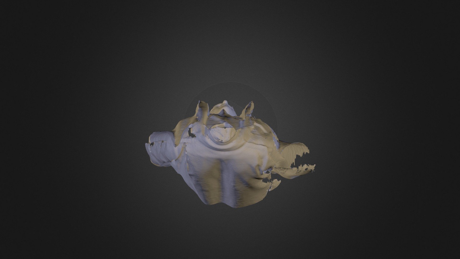 Atkinsnodevil — Sketchfab embed 3D viewer