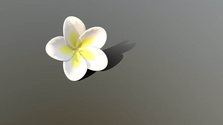 Tropical Hawaiian Champak Plumeria Flower 3D Model