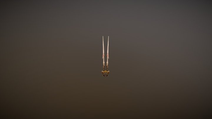 Bat (Low Poly, Animated, Rigged) 3D Model