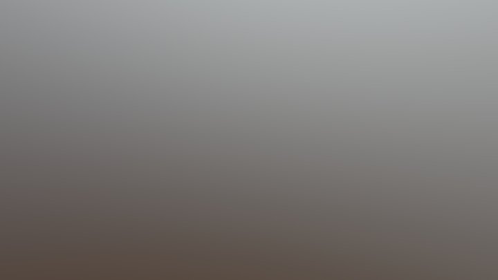 My model 3D Model