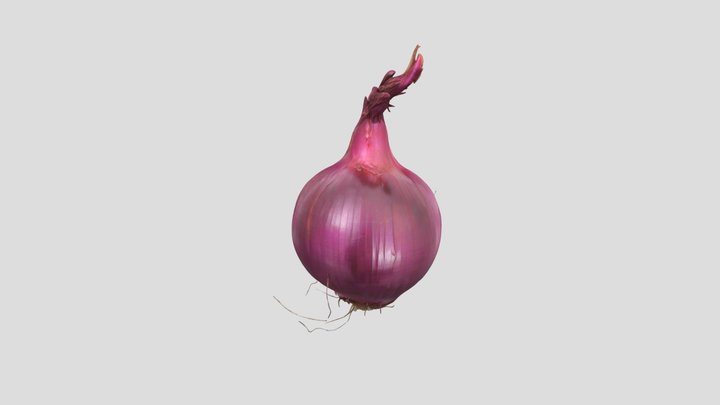 Realistic Red Onion 3D Model 3D Model