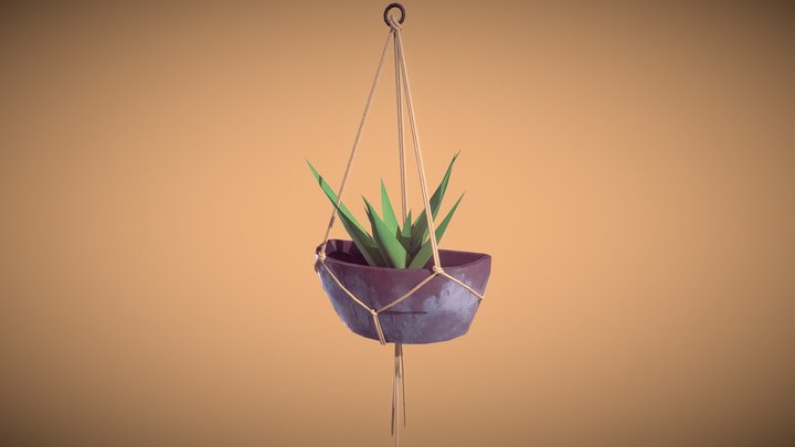 Hanging Aloe Plant 3D Model