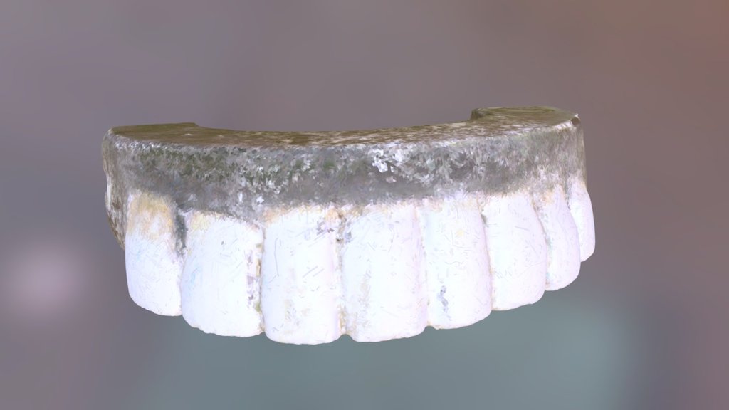 GW's False Teeth, Top Half (VCU_3D_2133)