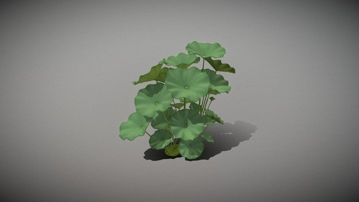 Medium Lotus Leaf Cluster _Tt – Kostenloses 3D-Modell STL