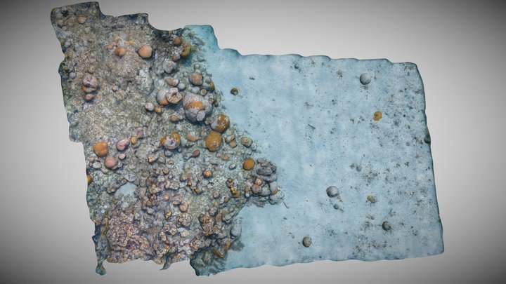 CHCA R6-1, Florida Keys - Hydrus Micro AUV 3D Model