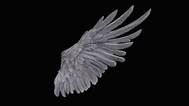 Angel Wing (Made with AI) 3D Model