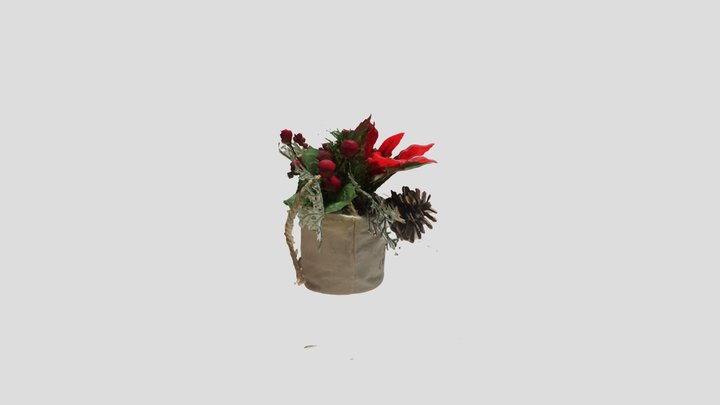 Scan 2022-12-28T16:59:37.637Z 3D Model