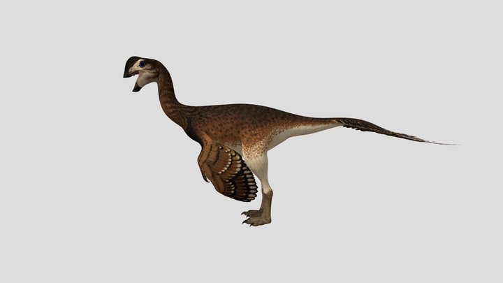 Oviraptor Female Accurate Rigged (Helvine skin) 3D Model