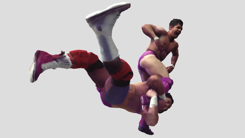 ProWrestling