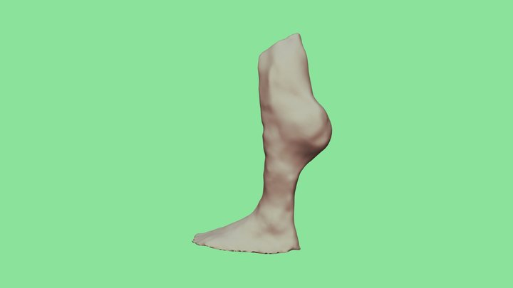 Leg 1 (all Pics) No2 3D Model