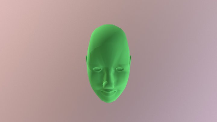 Head 3D Model