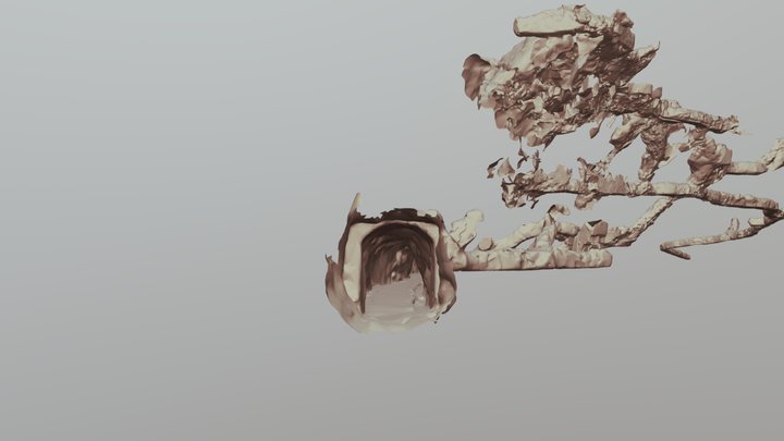 Bargone Under 3D Model