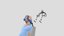 Loading 3D Model