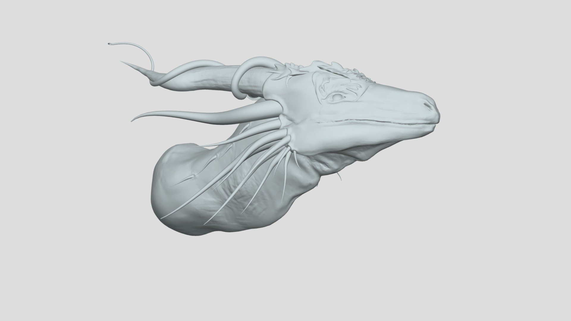 Dragon Bust