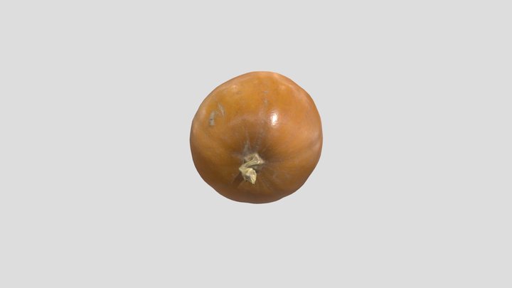 Choctaw Sweet Potato Squash