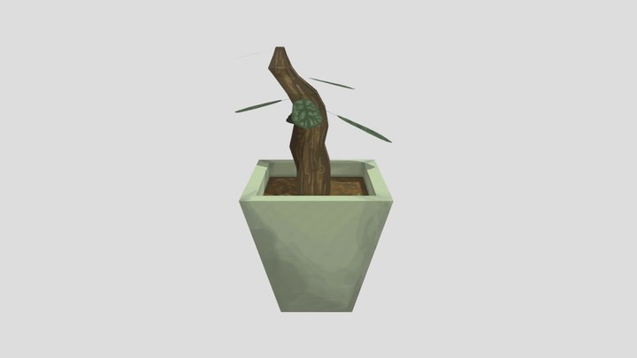 Plant2 3D Model