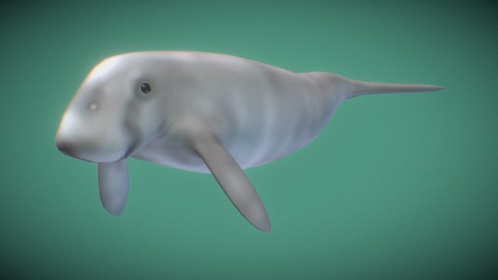 Dugong 3D Model