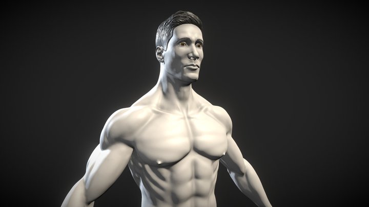 Male Anatomical Base - Hombre / Man 3D Model