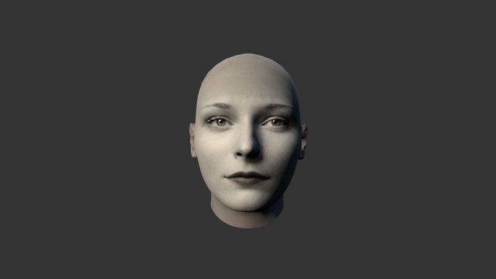 Model 3D Model