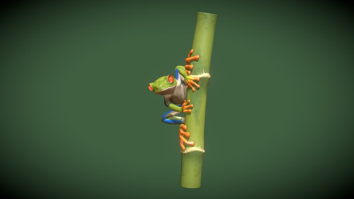 frog 3D Model