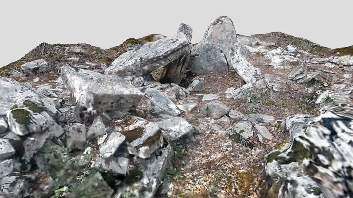 Dolmen B de la Plaine de Calais 3D Model