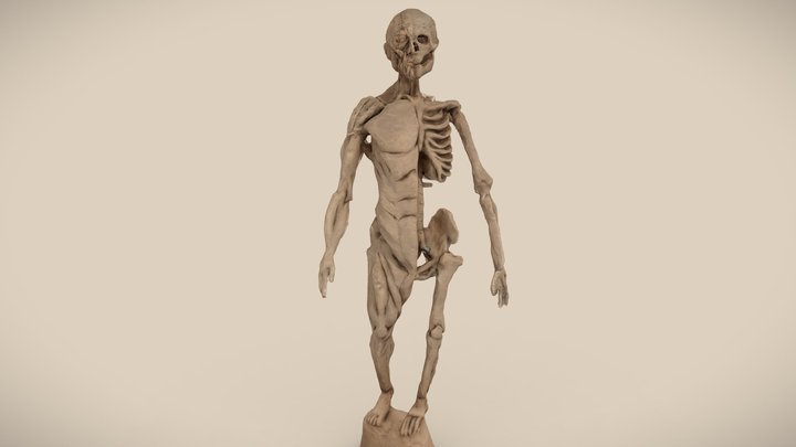 Plasticine Modeling Clay Artist Studio | 3D model