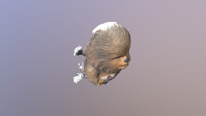 Chewie 3D Model