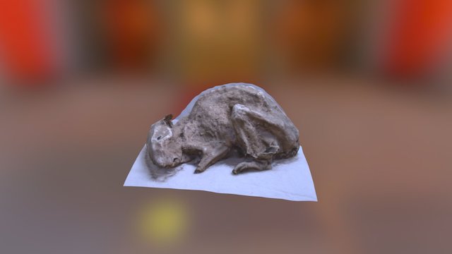 mummified Rat 3D Model