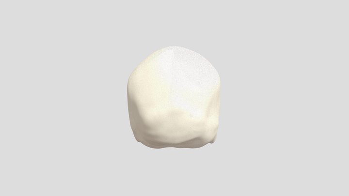zygo hybrid reference model 3D Model