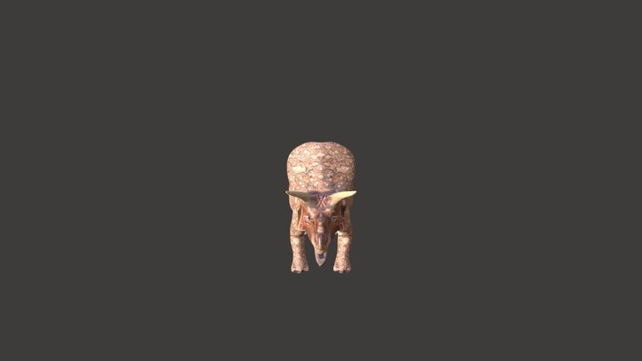 Triceratop ( The Different Types Of Dinosaurs) 3D Model