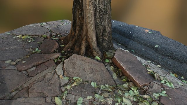 City Roots 3D Model