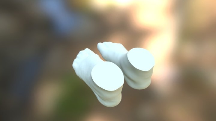 Left And Right Foot 3D Model
