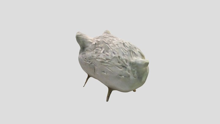 Wildschwein 3D Model