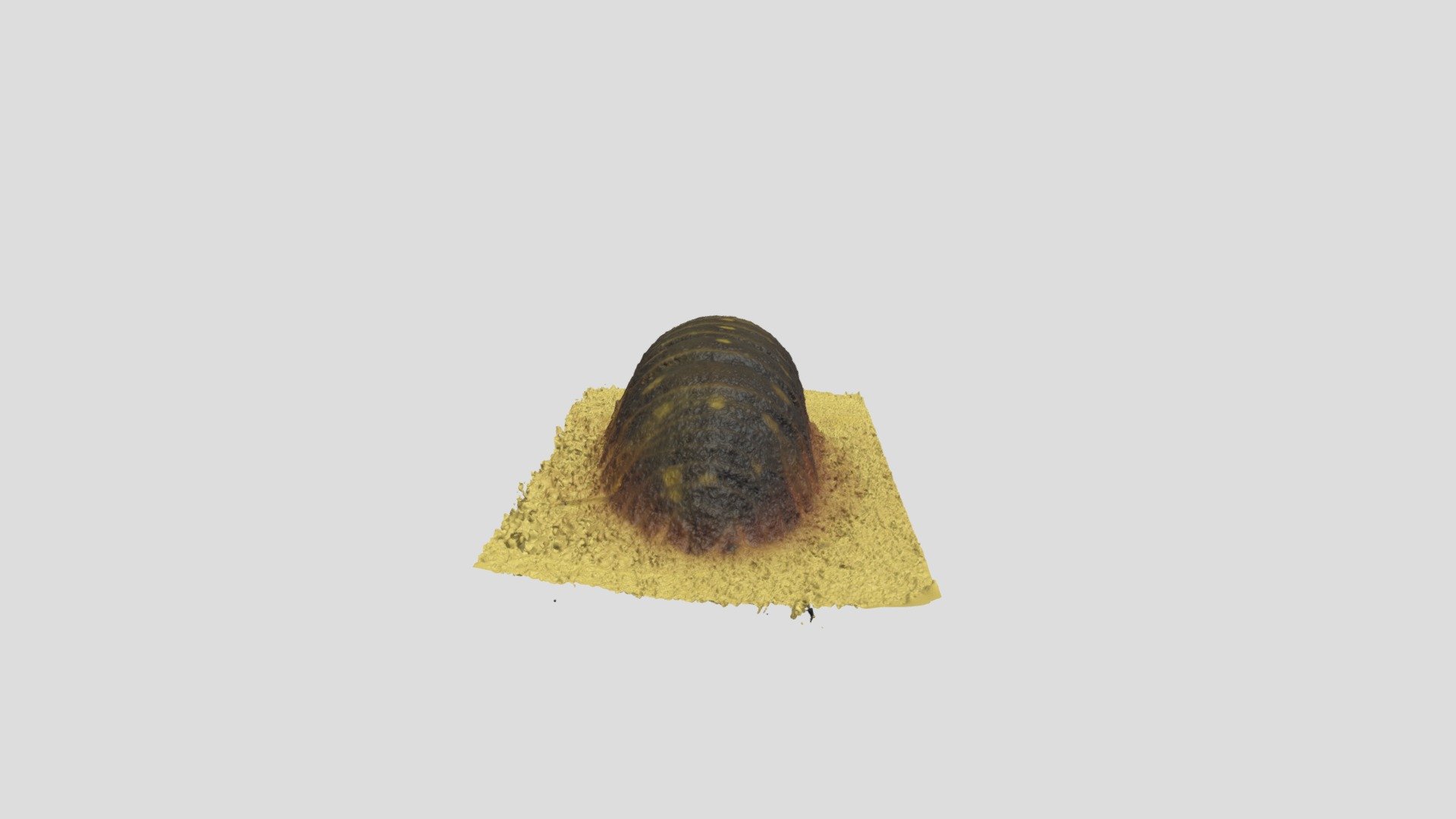 My first photogrammetry