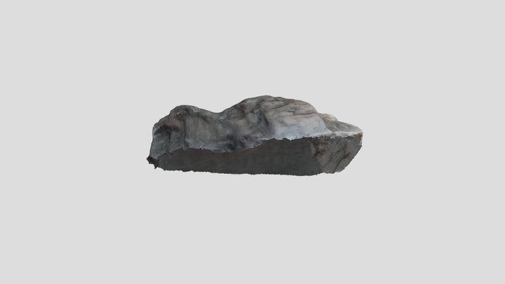 Brière 2021 - OA187063 | M.OG | S-991 | 00120 3D Model