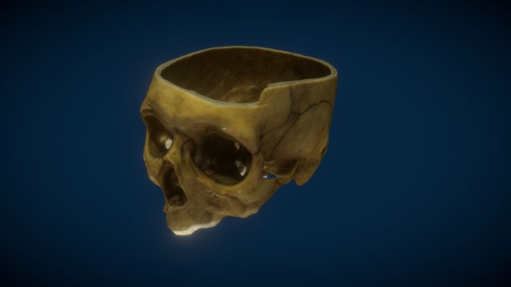 Skull04-2 3D Model